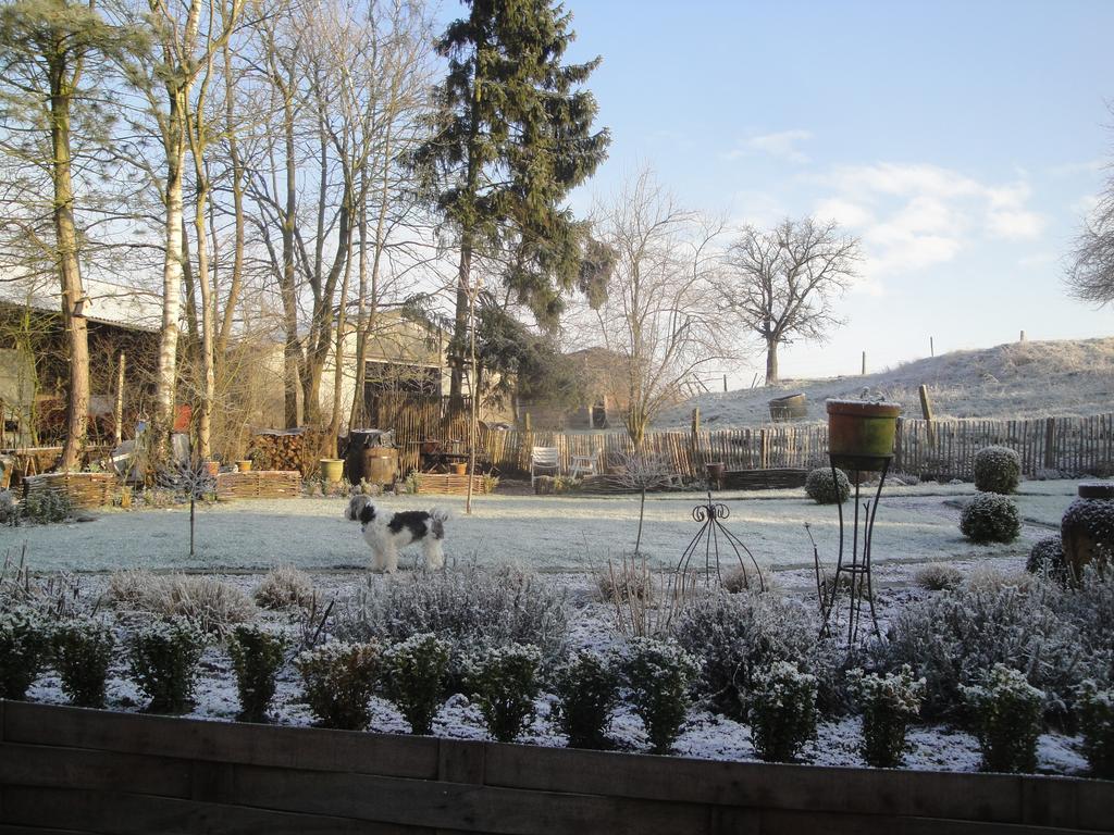 B&B Au Pont D'Arcole Beauvechain Kültér fotó